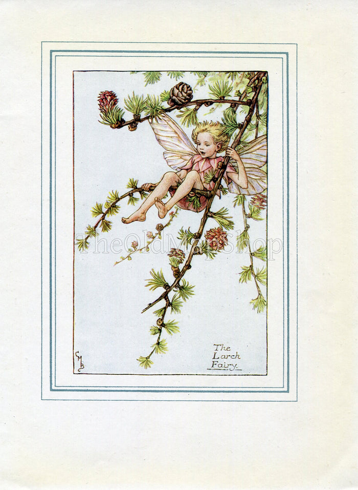 Larch Flower Fairy 1930's Vintage Print Cicely Barker Spring Book Plate SP034