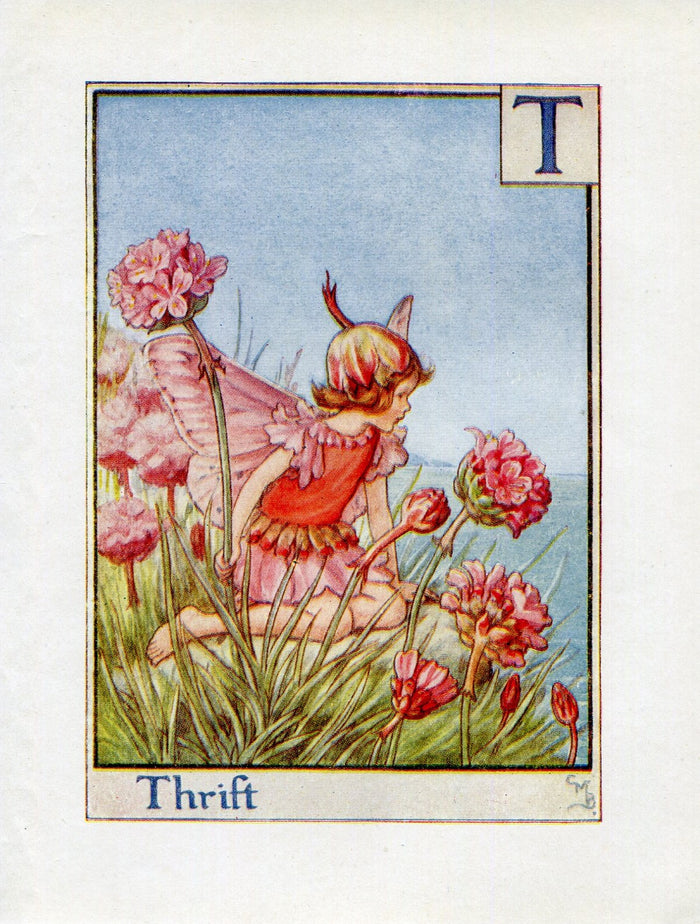 Thrift Flower Fairy Vintage Print c1940 Cicely Barker Alphabet Letter T Book Plate A047