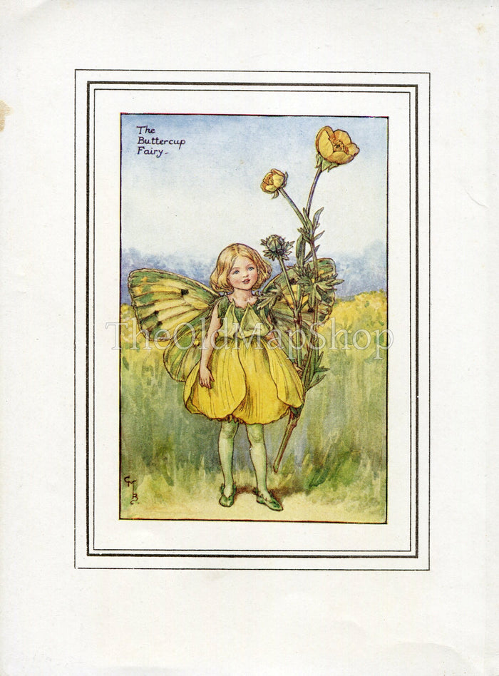 Buttercup Flower Fairy 1930's Vintage Print Cicely Barker Summer Book Plate S002