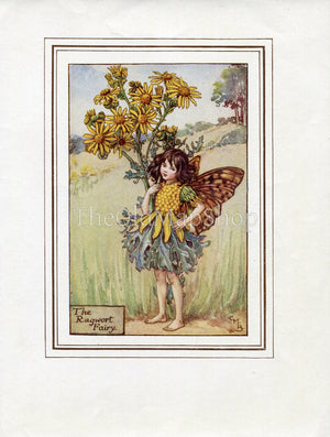 Ragwort Flower Fairy 1930's Vintage Print Cicely Barker Summer Book Plate S058