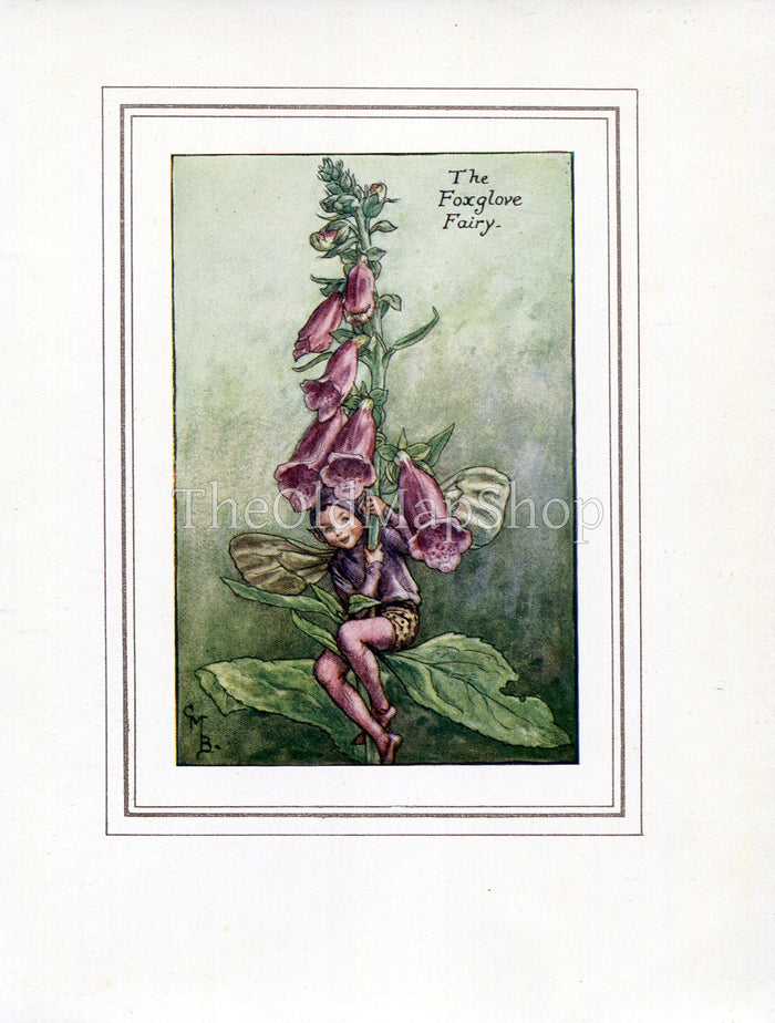 Foxglove Flower Fairy 1930's Vintage Print Cicely Barker Summer Book Plate S009