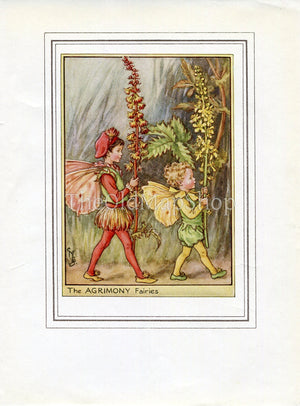 Agrimony Flower Fairy 1950's Vintage Print Cicely Barker Wayside Book Plate W066