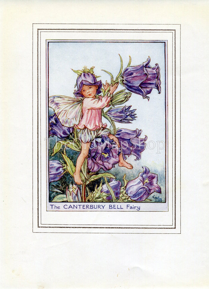 Canterbury Bell Flower Fairy 1950's Vintage Print Cicely Barker Garden Book Plate G033