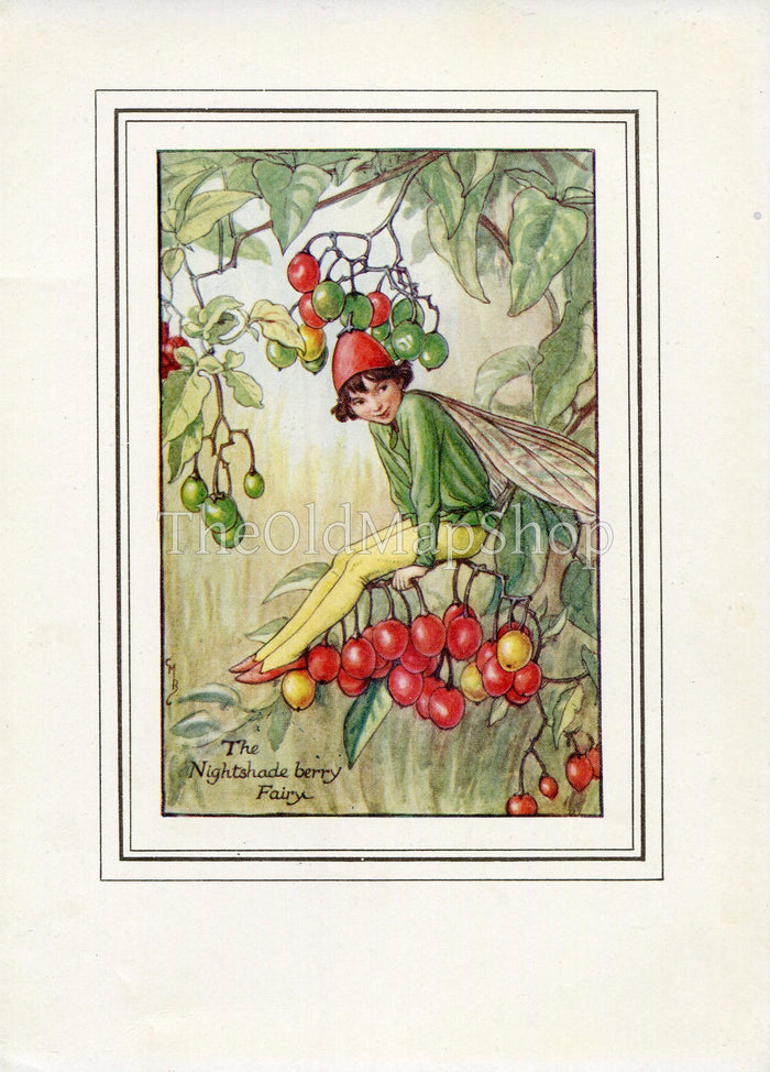 Nightshade Berry Flower Fairy 1930's Vintage Print Cicely Barker Autumn Book Plate A029