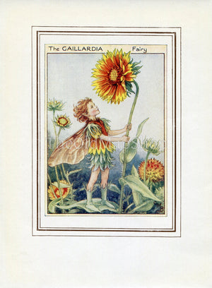 Gaillardia Flower Fairy 1950's Vintage Print Cicely Barker Garden Book Plate G047