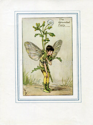 Groundsel Flower Fairy 1930's Vintage Print Cicely Barker Spring Book Plate SP018