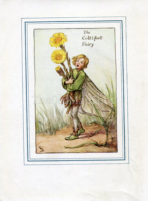 Coltsfoot Flower Fairy 1930's Vintage Print Cicely Barker Spring Book Plate SP007