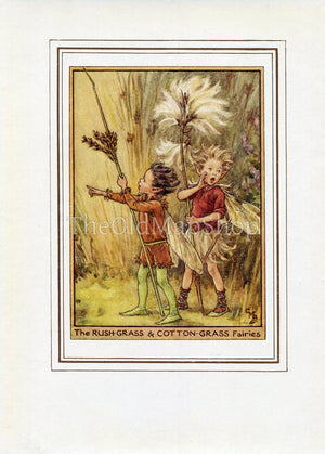 Rush-Grass & Cotton-Grass Flower Fairy 1950's Vintage Print Cicely Barker Wayside Book Plate W034
