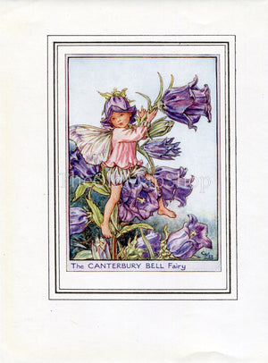 Canterbury Bell Flower Fairy 1950's Vintage Print Cicely Barker Garden Book Plate G034