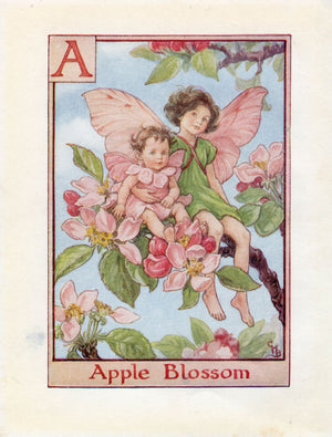 Apple-Blossom-Flower-Fairy-Print-Alphabet-Letter-A