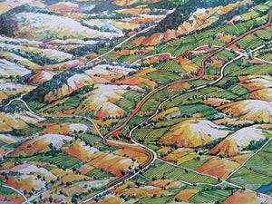 Clare-Valley-Wine-Region-Pictorial-Map-George-G-Aldridge-73_100-Print-003