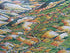 Clare-Valley-Wine-Region-Pictorial-Map-George-G-Aldridge-73_100-Print-003