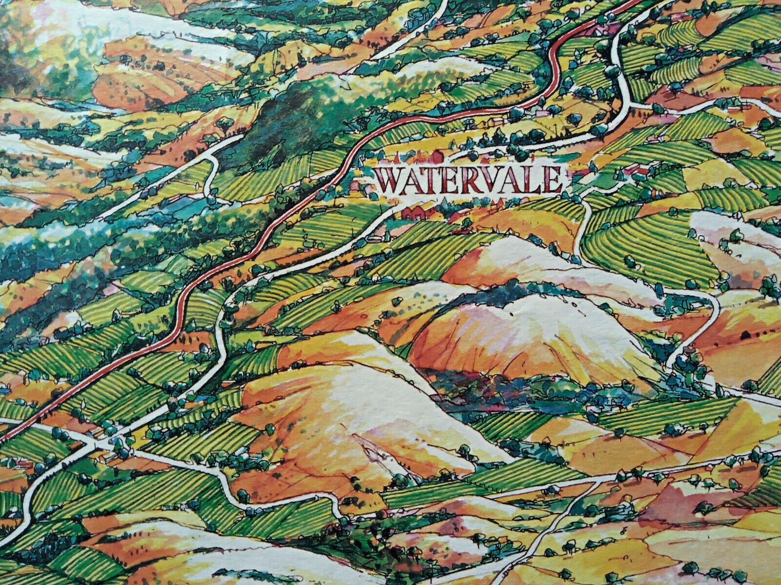 Clare-Valley-Wine-Region-Pictorial-Map-George-G-Aldridge-73_100-Print-004