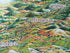 Clare-Valley-Wine-Region-Pictorial-Map-George-G-Aldridge-73_100-Print-005