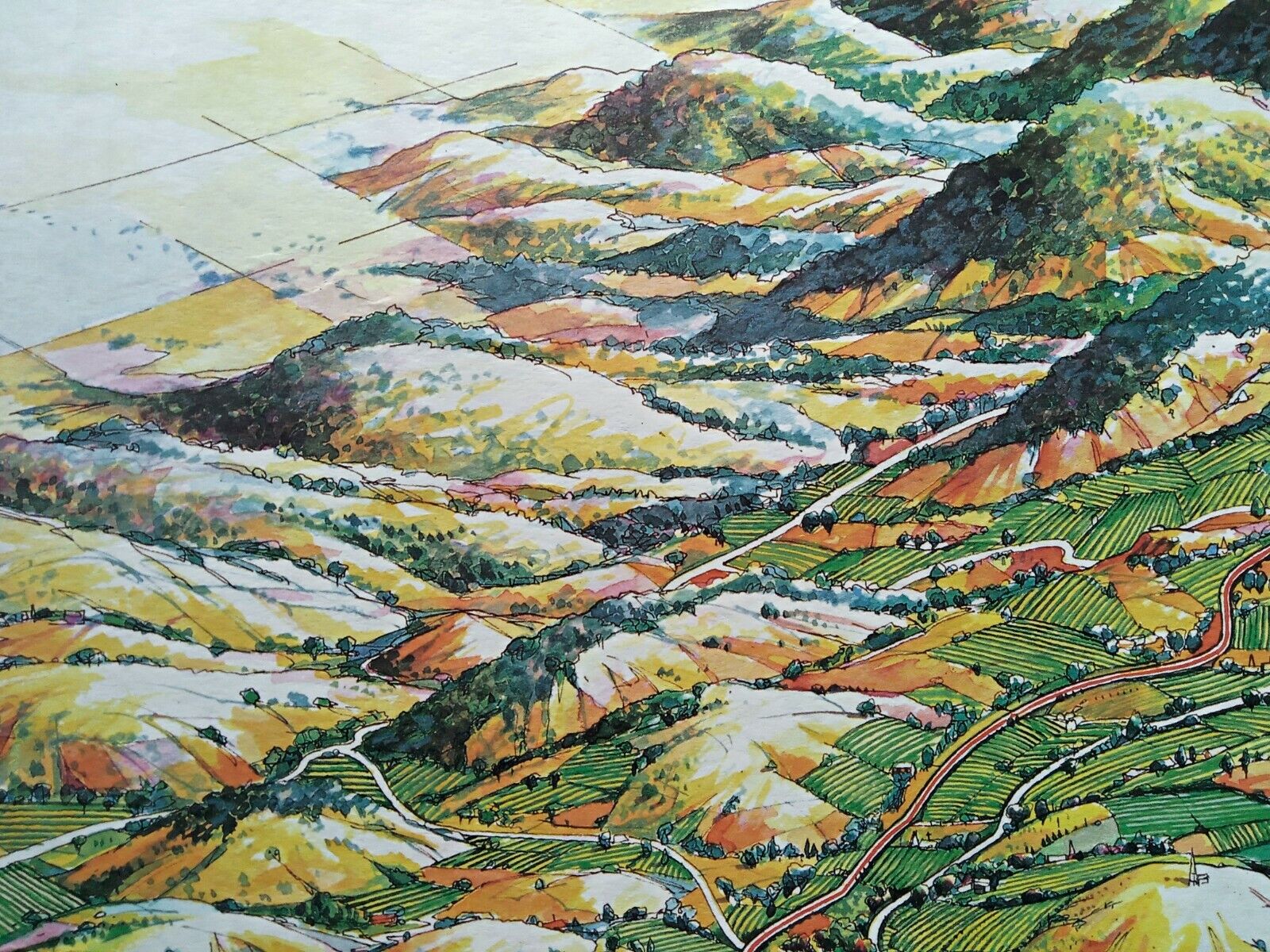 Clare-Valley-Wine-Region-Pictorial-Map-George-G-Aldridge-73_100-Print-008