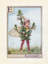 Image-Of-Eyebright-Flower-Fairy-Print-Alphabet-Letter-E
