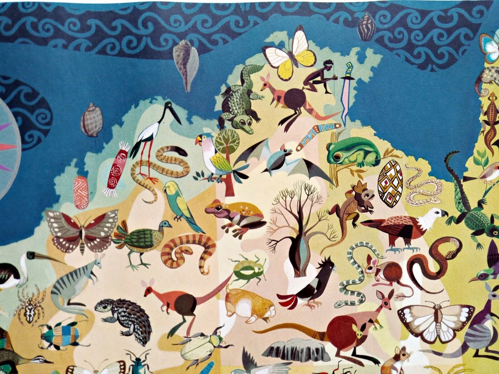 George-Santos-Animals-Fauna-Australia-Pictorial-Map-007