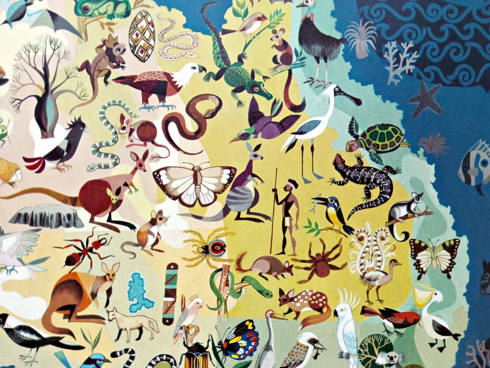 George-Santos-Animals-Fauna-Australia-Pictorial-Map-008