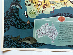 George-Santos-Animals-Fauna-Australia-Pictorial-Map-010