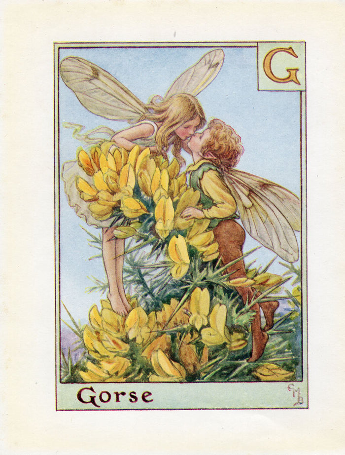 Gorse Flower Fairy Vintage Print c1940 Cicely Barker Alphabet Letter G