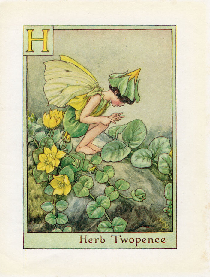 Herb Robert Flower Fairy Vintage Print c1940 Cicely Barker Alphabet Letter H