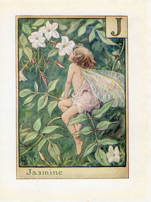 Image-Of-Jasmine-Flower-Fairy-Print-Alphabet-Letter-J