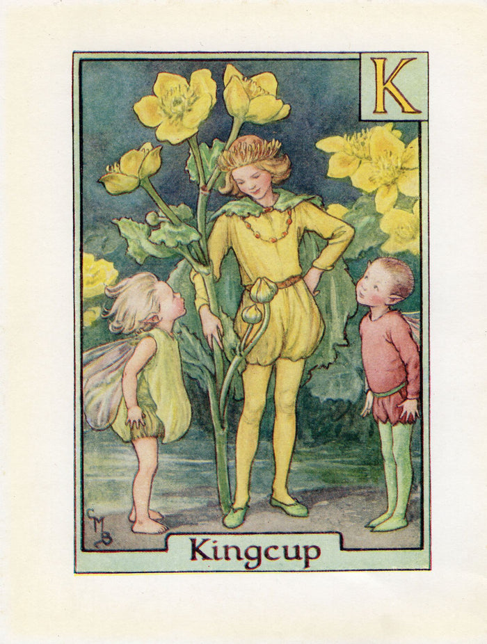 Kingcup Flower Fairy Vintage Print c1940 Cicely Barker Alphabet Letter K