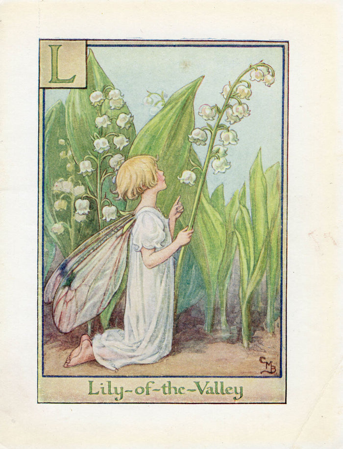 lily of the valley flower fairy poem Lily-of-the-Valley Flower Fairy Vintage Print c1940 Cicely Barker Alph – The Old Map Shop