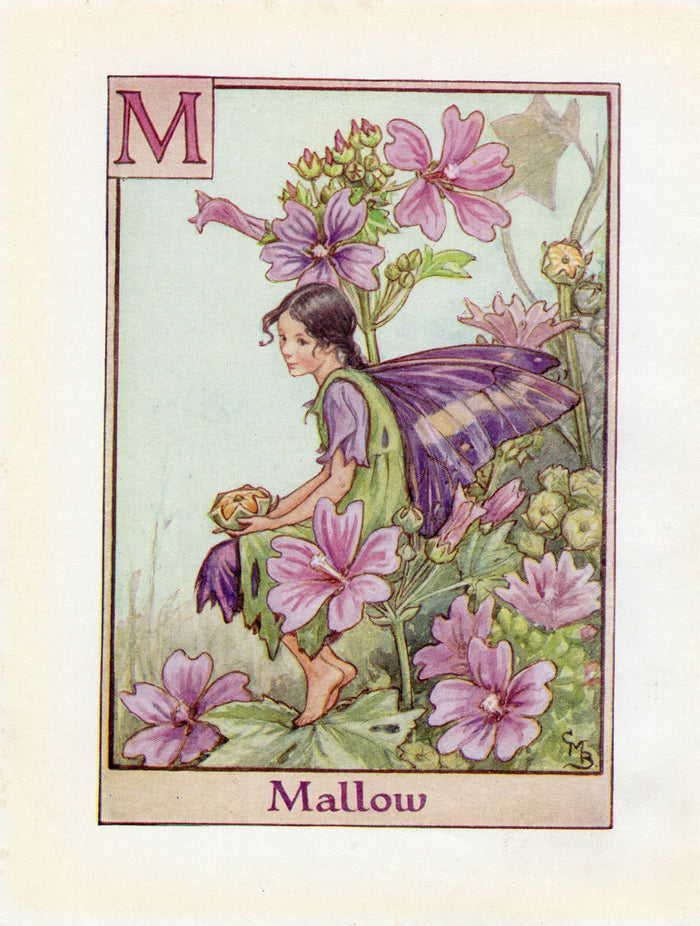 Mallow Flower Fairy Vintage Print c1940 Cicely Barker Alphabet Letter M