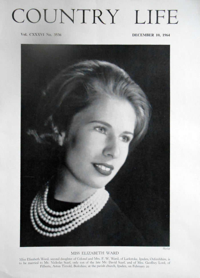 Miss Elizabeth Ward Country Life Magazine Portrait December 10, 1964 Vol. CXXXVI No. 3536