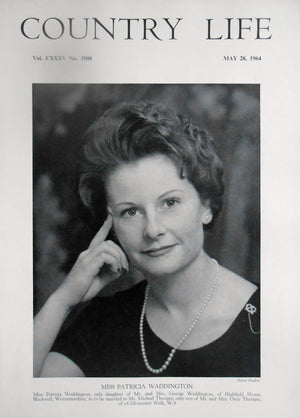 Miss Patricia Waddington Country Life Magazine Portrait May 28, 1964 Vol. CXXXV No. 3508 - Copy