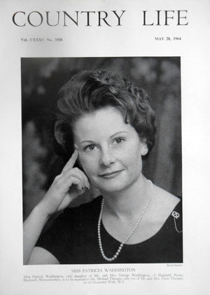 Miss Patricia Waddington Country Life Magazine Portrait May 28, 1964 Vol. CXXXV No. 3508