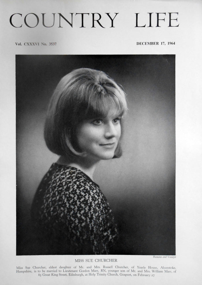 Miss Sue Churcher Country Life Magazine Portrait December 17, 1964 Vol. CXXXVI No. 3537