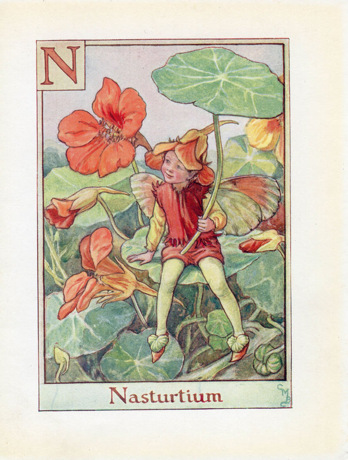 Nasturtium Flower Fairy Vintage Print c1940 Cicely Barker Alphabet Letter N