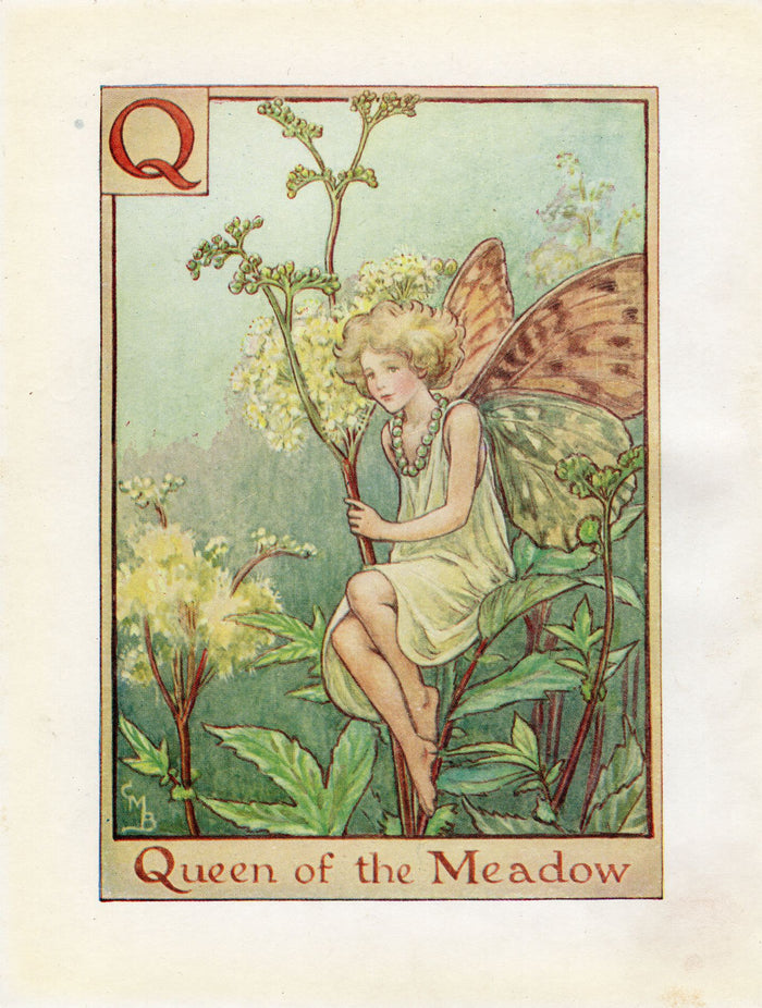 Queen of the Meadow Flower Fairy Vintage Print c1940 Cicely Barker Alphabet Letter Q