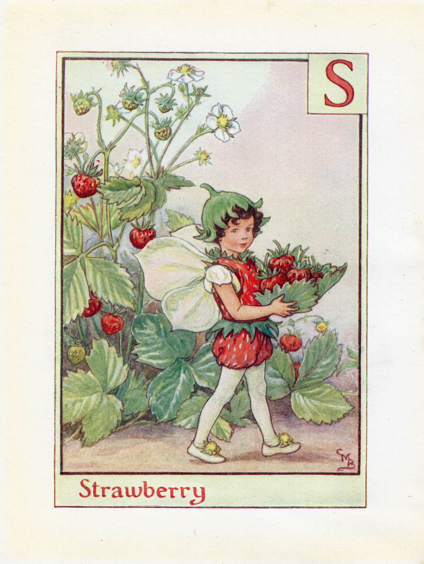 Image-of-Strawberry-Flower-Fairy-Print-Alphabet-Letter-S