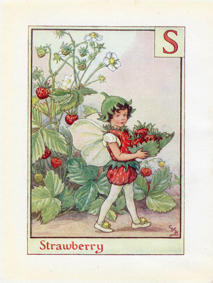 Strawberry Flower Fairy Vintage Print c1940 Cicely Barker Alphabet Letter S
