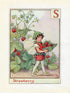 Image-of-Strawberry-Flower-Fairy-Print-Alphabet-Letter-S