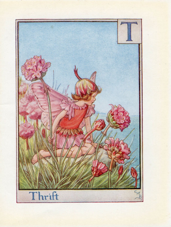 Thrift Flower Fairy Vintage Print c1940 Cicely Barker Alphabet Letter T