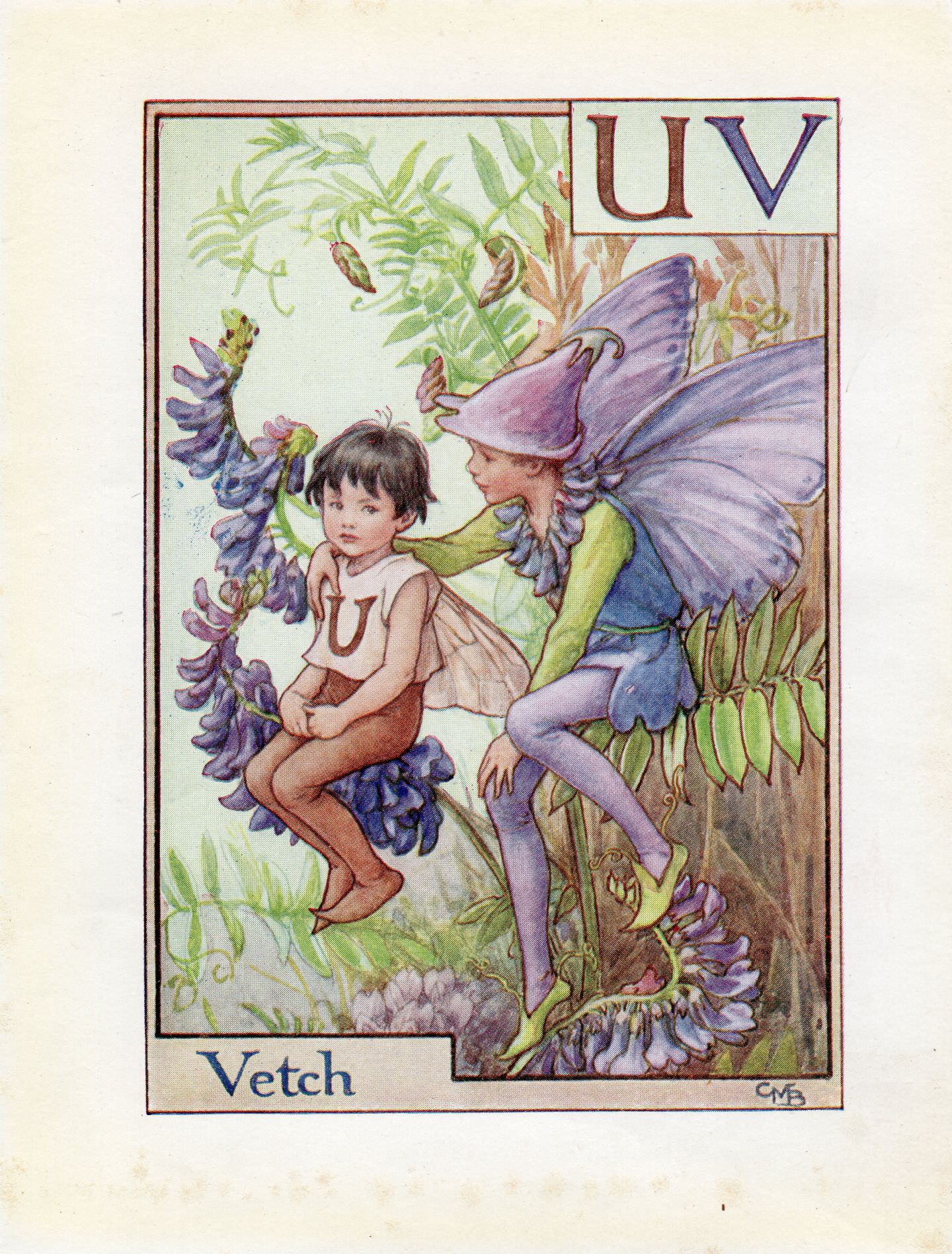 image-of-Vetch-Flower-Fairy-Print-Alphabet-Letter-U-V