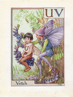 image-of-Vetch-Flower-Fairy-Print-Alphabet-Letter-U-V