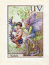 image-of-Vetch-Flower-Fairy-Print-Alphabet-Letter-U-V