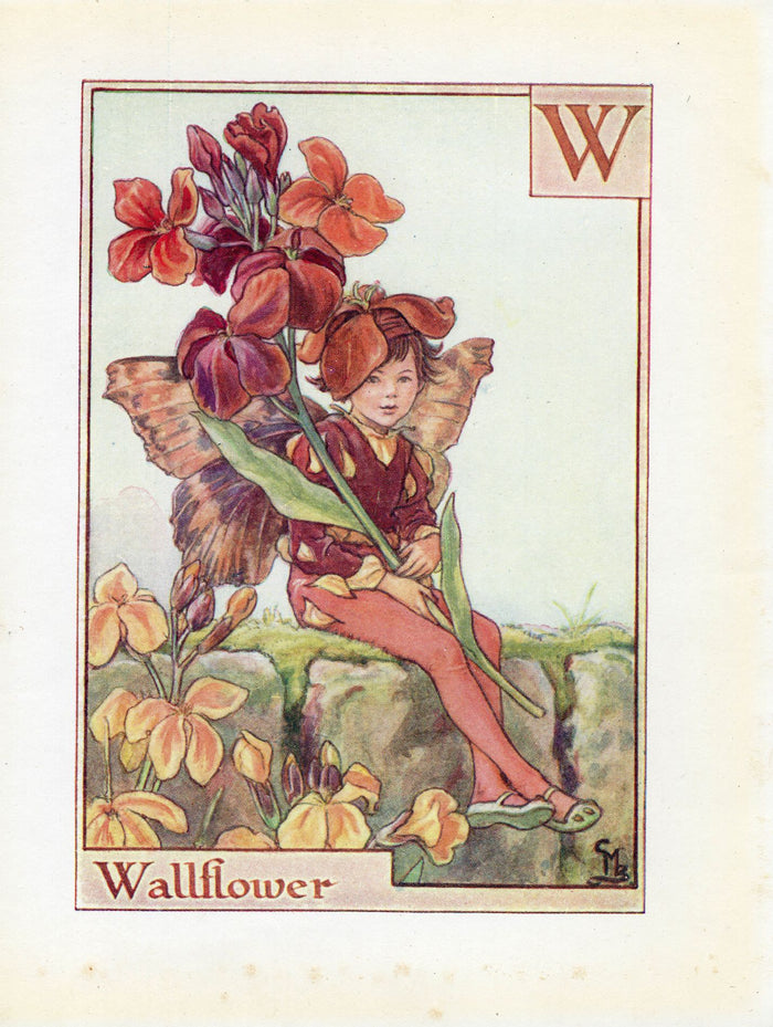 Wallflower Flower Fairy Vintage Print c1940 Cicely Barker Alphabet Letter W