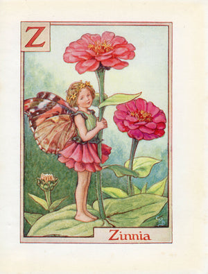 image-of-Zinnia-Flower-Fairy-Print-Alphabet-Letter-Z