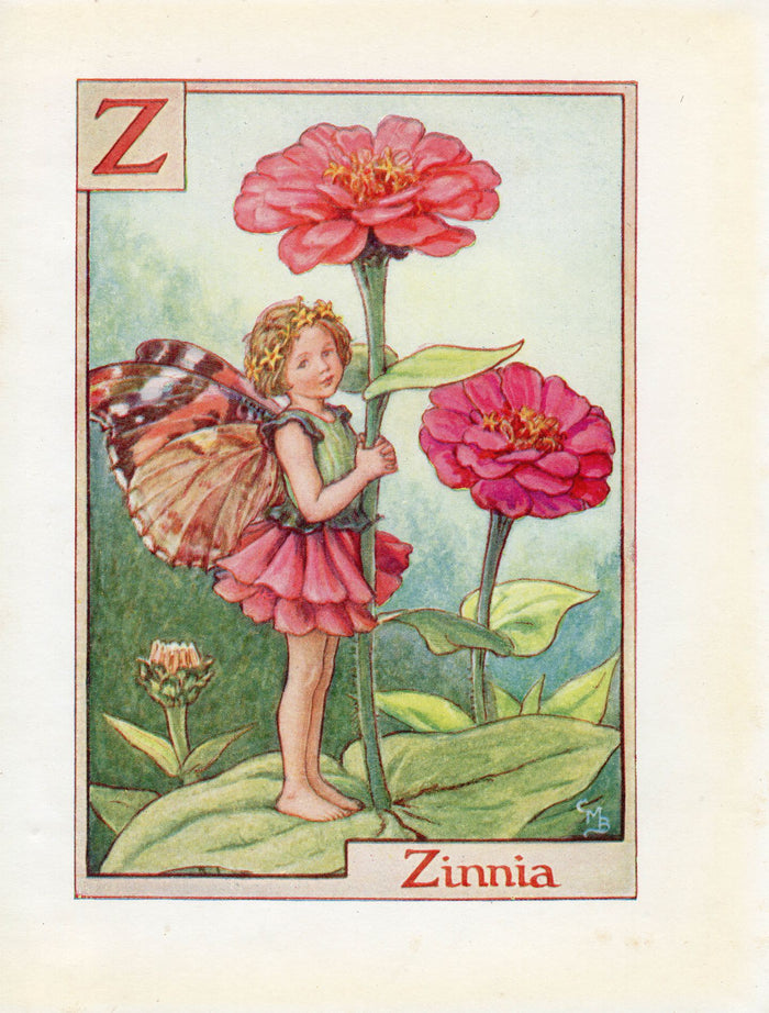Zinnia Flower Fairy Vintage Print c1940 Cicely Barker Alphabet Letter Z