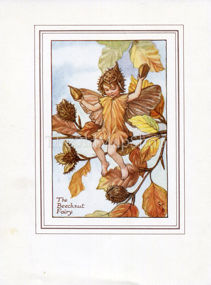Beechnut Flower Fairy 1930's Vintage Print Cicely Barker Autumn Book Plate A042