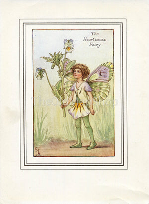 Heart'sease Flower Fairy 1930's Vintage Print Cicely Barker Spring Book Plate SP054