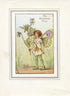 Heart'sease Flower Fairy 1930's Vintage Print Cicely Barker Spring Book Plate SP054