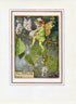 Poplar Flower Fairy 1950's Vintage Print Cicely Barker Trees Book Plate T035