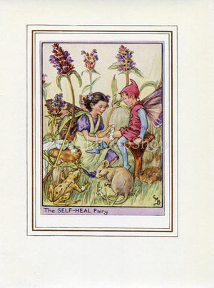 Self-Heal Flower Fairy 1950's Vintage Print Cicely Barker Wayside Book Plate W031
